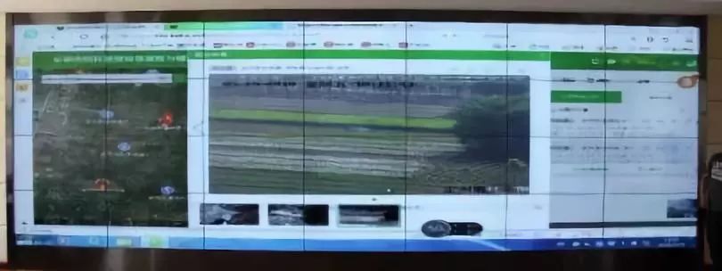 ���ݷ��սոѵ�С���� �������ר�Ŷ���������