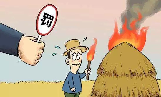 ���սո���  ������������