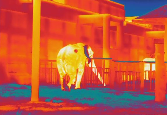 �ȴ�ͳ�����Ǹ����ʡ��ֳ�������ʵ��