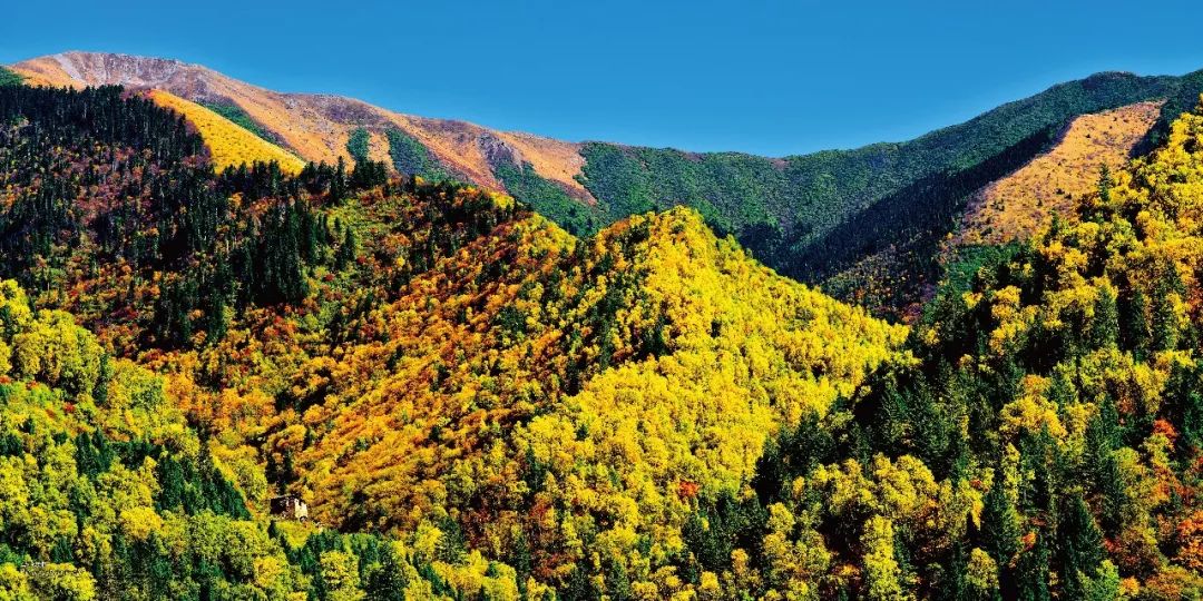 ɭ�ַ���ڿƼ�!����������ҵ������Ԥ��ϵͳ����ȫ���״�