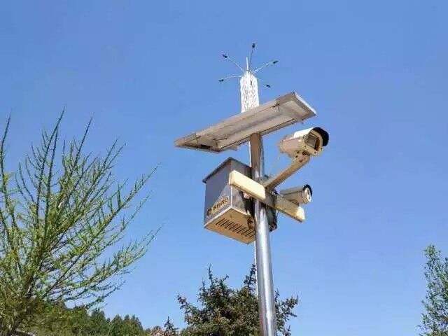 ԭɽ�ֳ�ʵʩ��ҵԤ�����Ƽ����� ����ɭ����Դ����һʧ