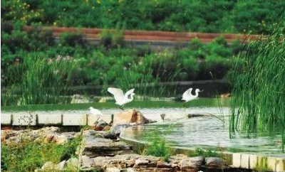 ������ʯ��ɽ,ʵ��������Ƶ���̻�ʶ��ϵͳ�����Ǽ��