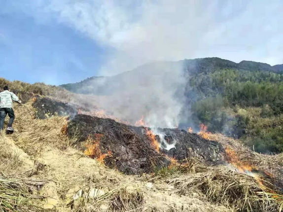 ���������⼸ֻ�����۾��������սո���Ϊ�������ӣ�