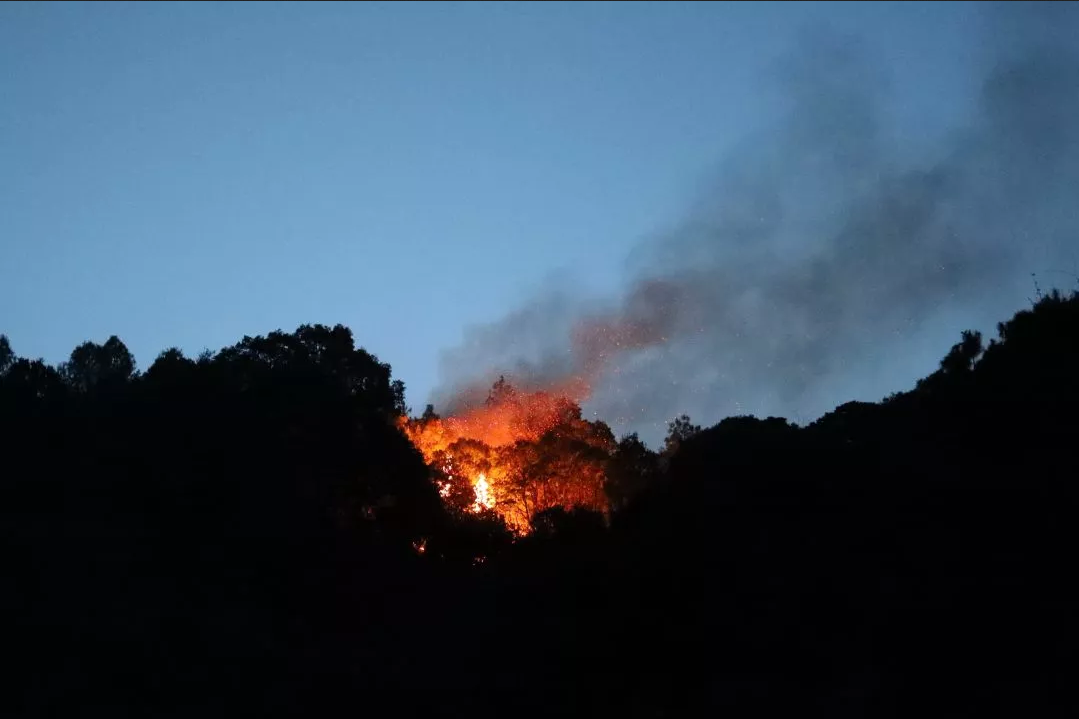 ���������ڼ��ϵͳ�п����õ���Щ�ط�����������