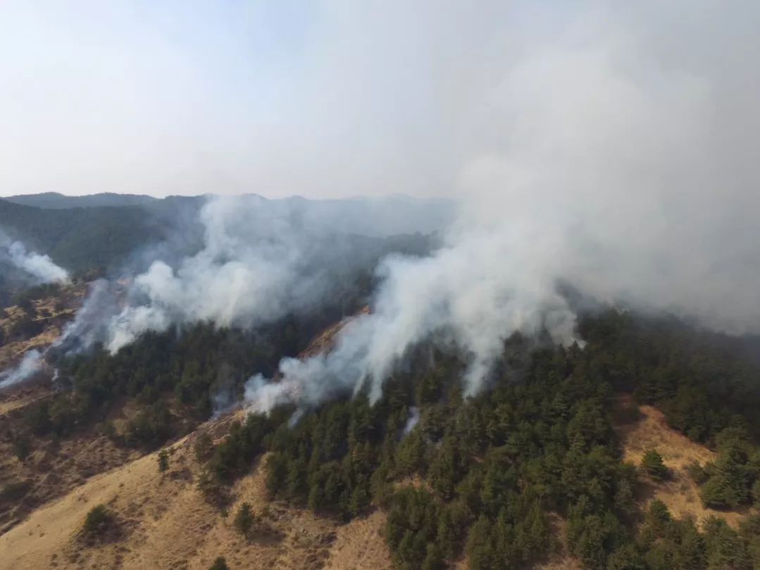 Դ���ȵ���75������23�� �в�ս�������ս�Ȼ�