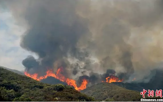 �����ȳ������������б��㷺Ӧ��