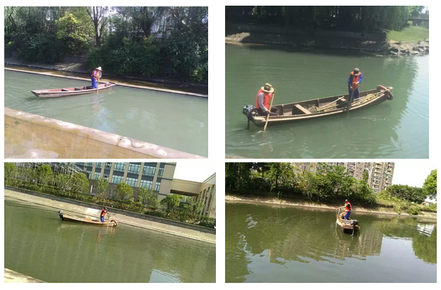 ����ɳ���ٻ���̬�������ֹ�ӵ���Ѫ˨��