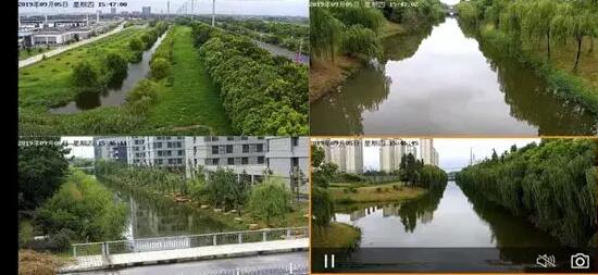 ����ʵʩҰ���Դ��Ƶ��� ����ɭ�ַ�����Ƶ�������8��